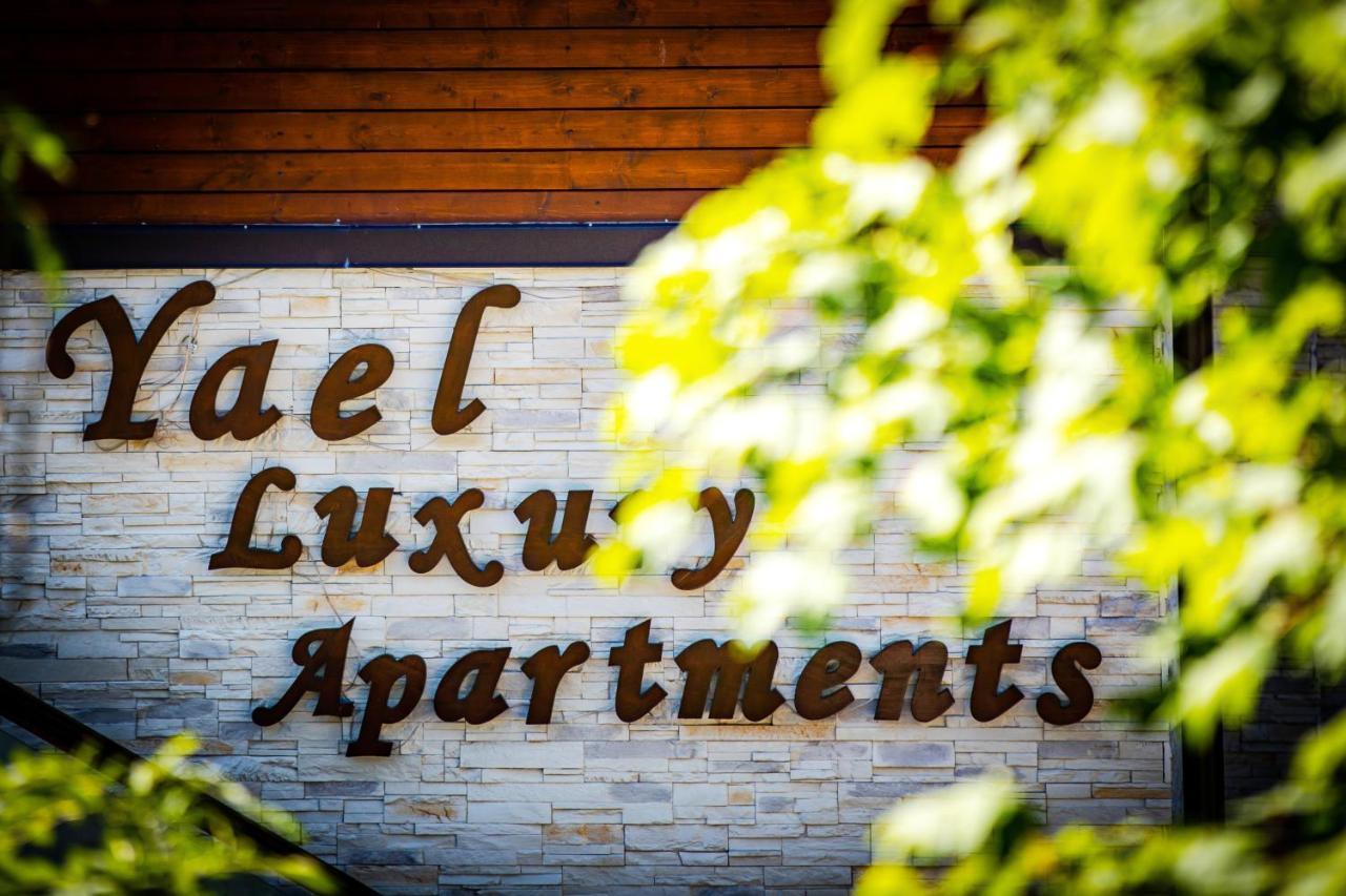 Yael Luxury Apartments 2 Buşteni エクステリア 写真