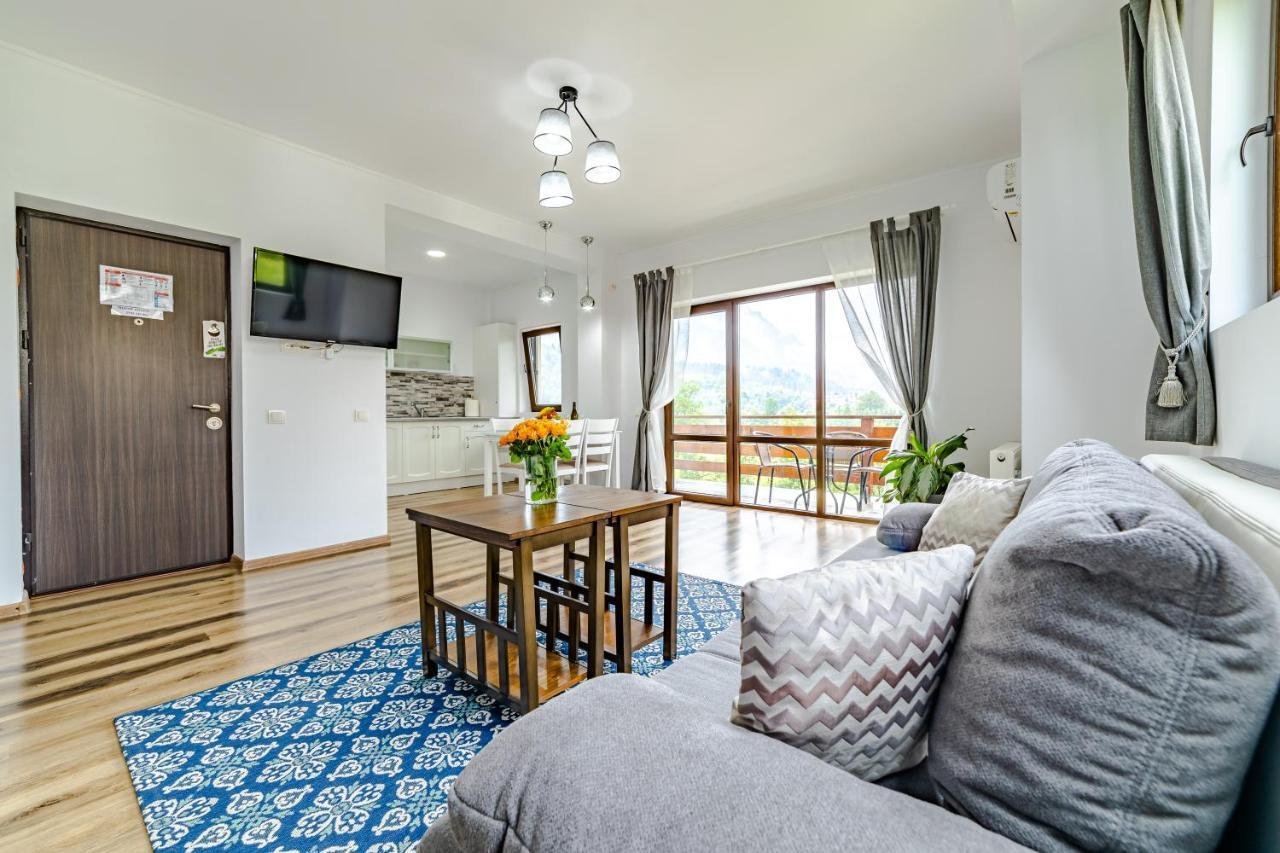 Yael Luxury Apartments 2 Buşteni エクステリア 写真