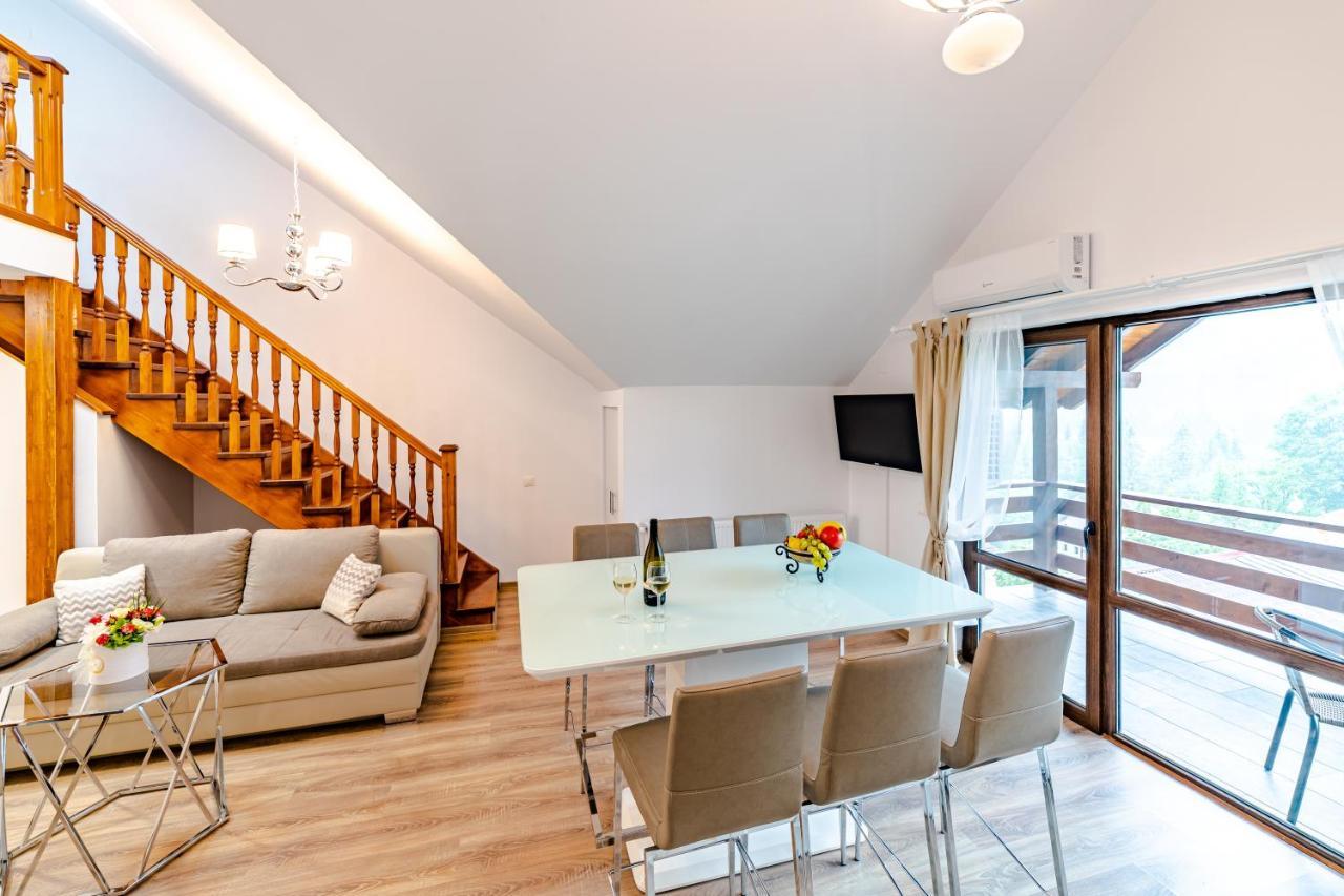 Yael Luxury Apartments 2 Buşteni エクステリア 写真