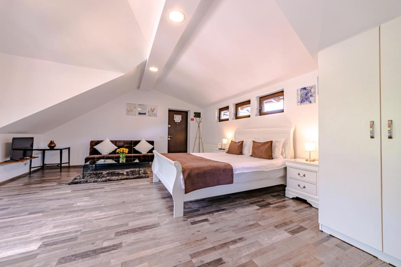 Yael Luxury Apartments 2 Buşteni エクステリア 写真