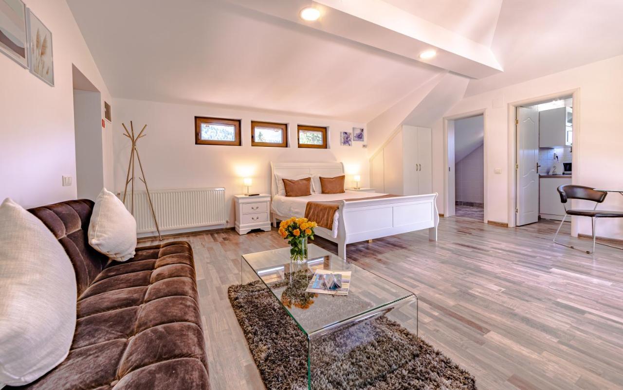 Yael Luxury Apartments 2 Buşteni エクステリア 写真