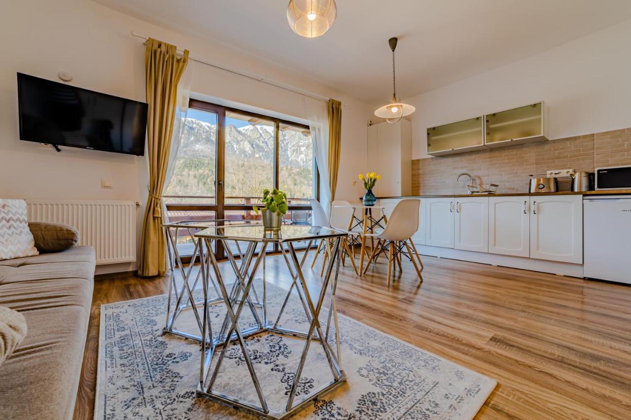 Yael Luxury Apartments 2 Buşteni エクステリア 写真