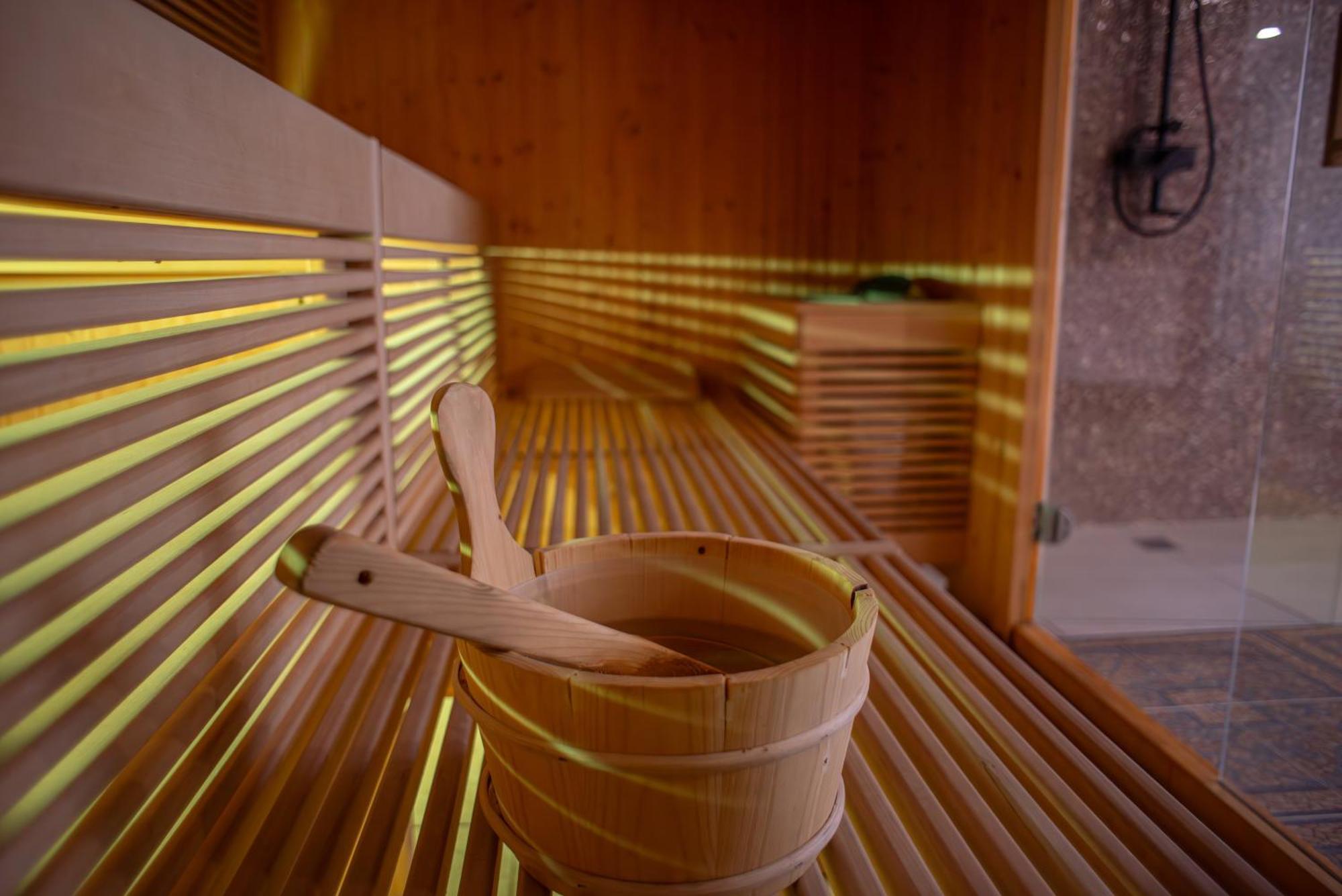 Yael Luxury Apartments 2 Buşteni エクステリア 写真