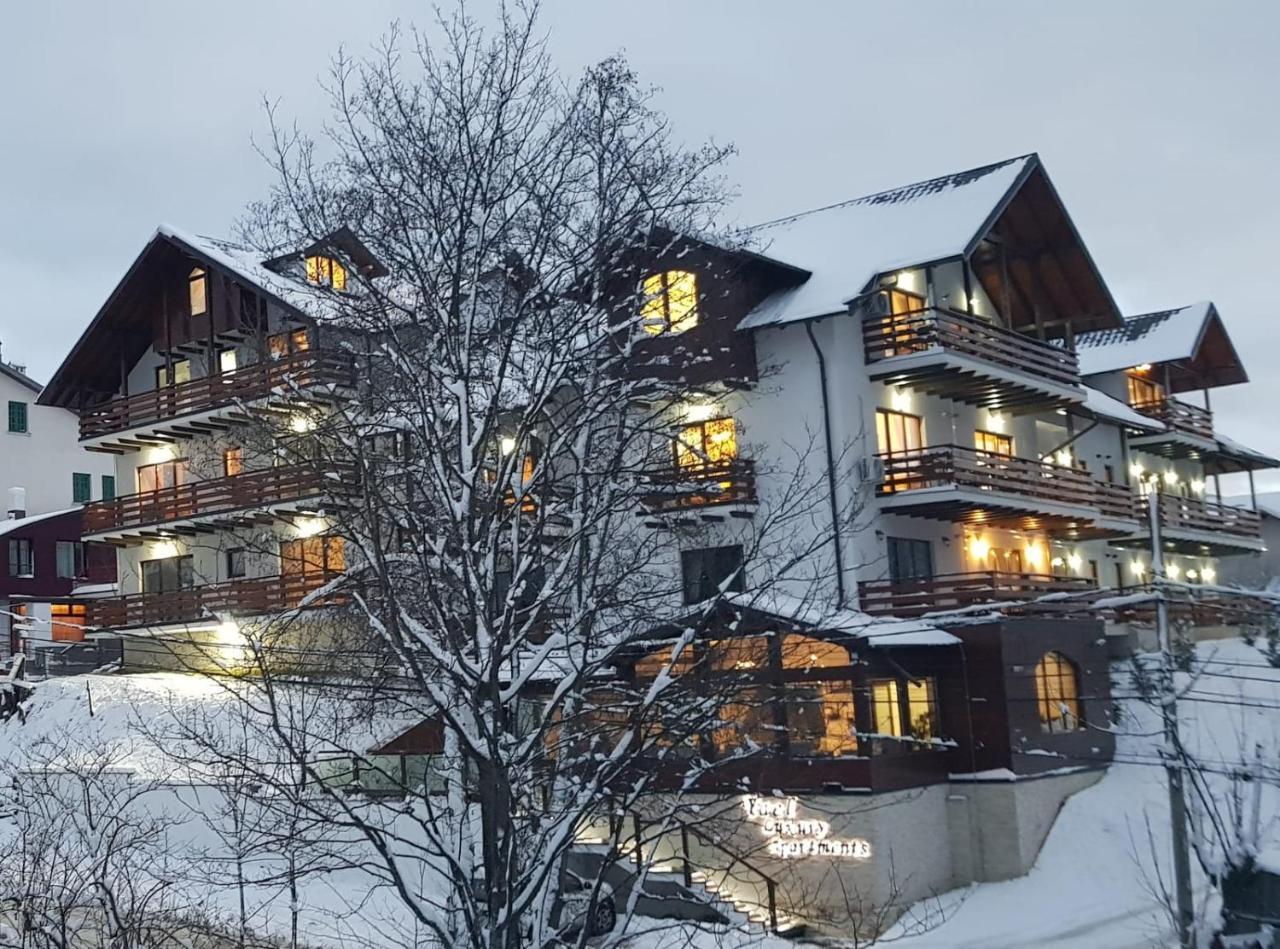 Yael Luxury Apartments 2 Buşteni エクステリア 写真